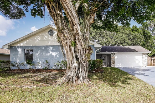property at 365 Las Palmas St
