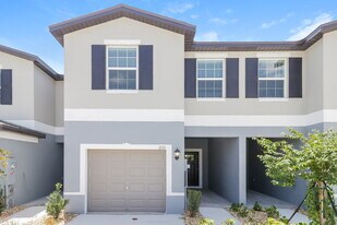 2171 Great Sapphire Ln in Lutz, FL - Building Photo