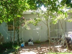 1315 L St in Davis, CA - Building Photo - Building Photo