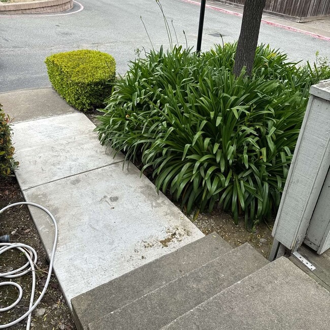 property at 1021 Polk St