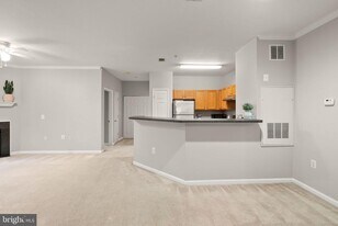 13363 Connor Dr in Centreville, VA - Building Photo