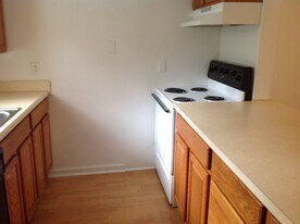 Village in the Park Apartments in Pittsburgh, PA - Building Photo