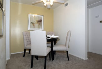 Wildflower in Midland, TX - Foto de edificio - Building Photo