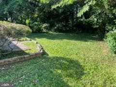 11503 Mapleview Dr in Silver Spring, MD - Building Photo - Building Photo