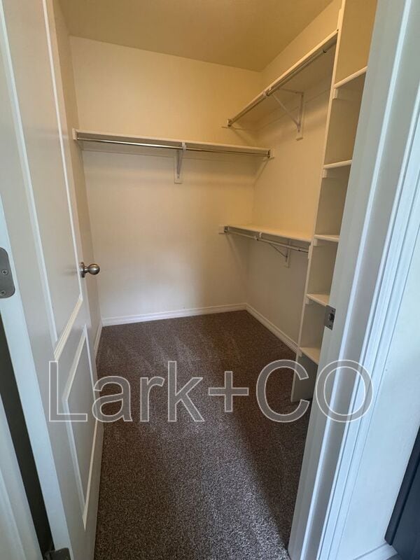 629 Sundance Cir in Erie, CO - Building Photo - Building Photo