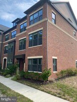 22367 TrailView Crossing Terrace in Ashburn, VA - Building Photo