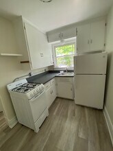 1411 Golden Ave, Unit 2 in Ann Arbor, MI - Building Photo - Building Photo