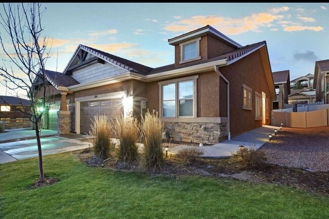 824 Yellow Jasper Pt. in Colorado Springs, CO - Building Photo - Building Photo