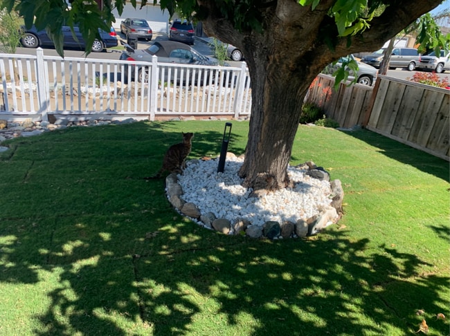 3196 Durant Ave in San Jose, CA - Building Photo - Building Photo