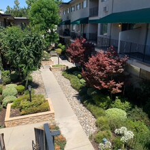 220 E Live Oak St in San Gabriel, CA - Building Photo - Building Photo