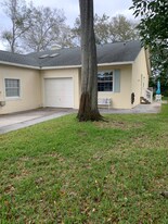544 High Pine Ct in Palm Harbor, FL - Building Photo