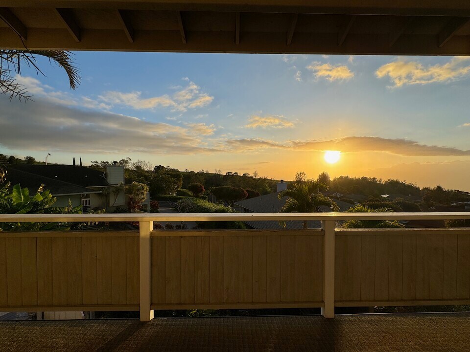 24 Paliuli Way in Kula, HI - Building Photo