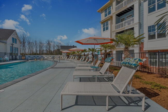 Alta Croft in Charlotte, NC - Building Photo - Building Photo