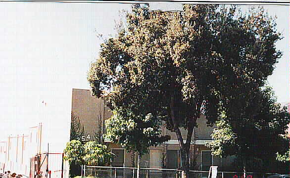 254 E Washington Blvd in Pasadena, CA - Building Photo - Building Photo