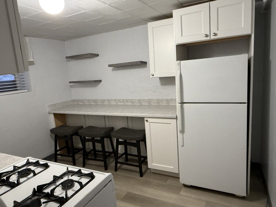 1235 Saint Paul St, Unit Basement Apartment in Denver, CO - Building Photo