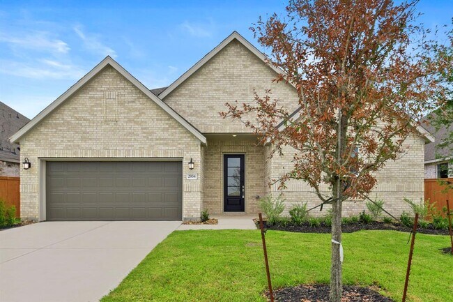 2934 Palm Branch Dr in Texas City, TX - Building Photo - Building Photo