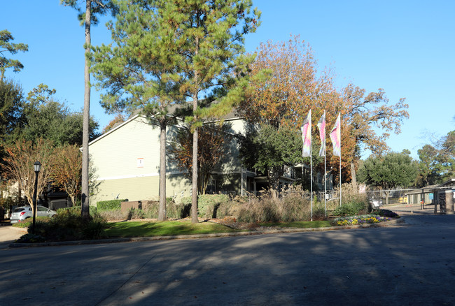 The Pines on Spring Rain in Spring, TX - Building Photo - Building Photo