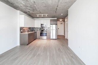 50 E 21st St in Chicago, IL - Building Photo - Building Photo