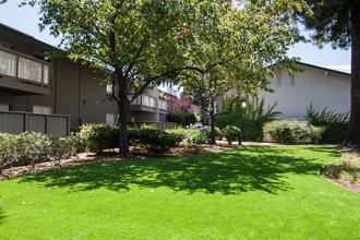 Coffeetree Apartments in Campbell, CA - Building Photo - Building Photo