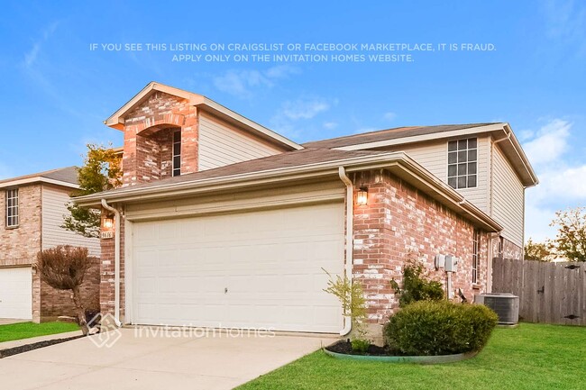 3616 Lipizzan Dr in Denton, TX - Building Photo - Building Photo