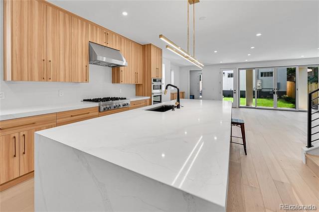 300 S Franklin St in Denver, CO - Building Photo - Building Photo