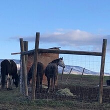 24475 Amanee Ln in Steamboat Springs, CO - Building Photo - Building Photo