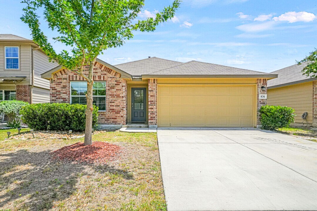 836 Red Crossbill in San Antonio, TX - Building Photo