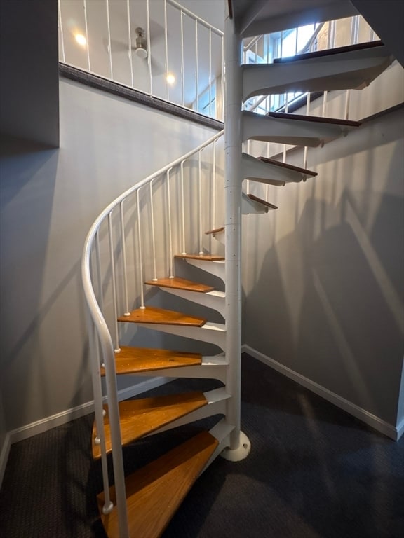 41 Morton St in Boston, MA - Building Photo - Building Photo