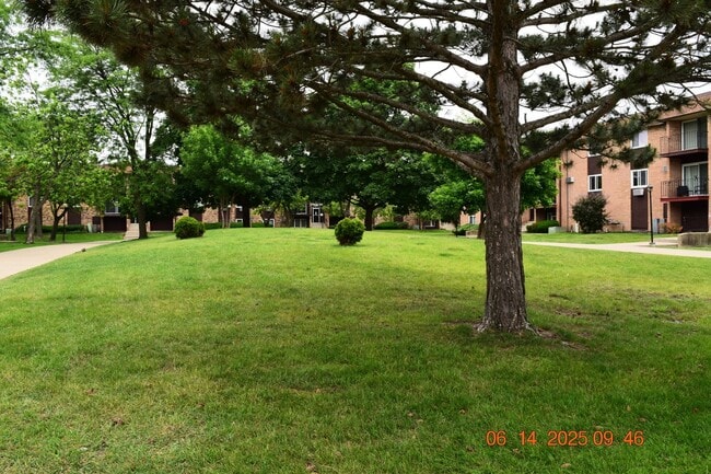1180 Meadow Ln in Hoffman Estates, IL - Building Photo - Building Photo