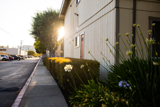 Ahwanee Apartments in Sunnyvale, CA - Foto de edificio - Building Photo