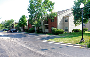 Foxfire Condominiums in Palatine, IL - Building Photo - Building Photo