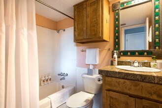 1206 Hollow Creek Dr in Austin, TX - Foto de edificio - Building Photo