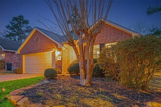 2 Garden Lodge Pl in Spring, TX - Building Photo - Building Photo