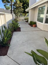 33531 Seawind Ct in Dana Point, CA - Building Photo - Building Photo