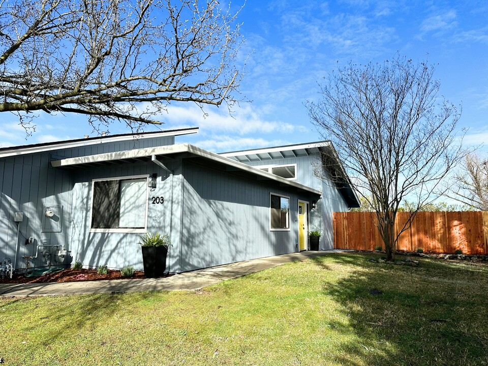 203 Luz Pl in Davis, CA - Building Photo