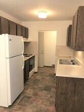 203 1st St N, Unit 5 in Elysian, MN - Building Photo - Building Photo