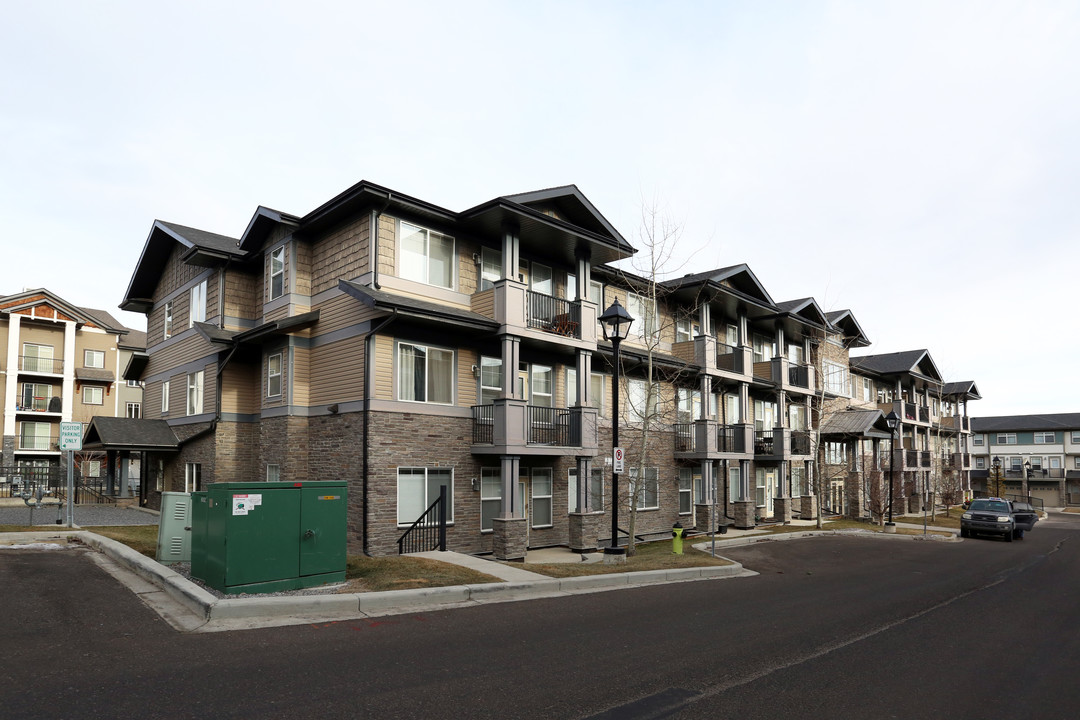 10 Panatella Rd NW in Calgary, AB - Building Photo