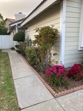 2343 Lake Forest St in Escondido, CA - Building Photo - Building Photo