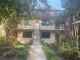 11716 Raintree Village Blvd in Temple Terrace, FL - Building Photo
