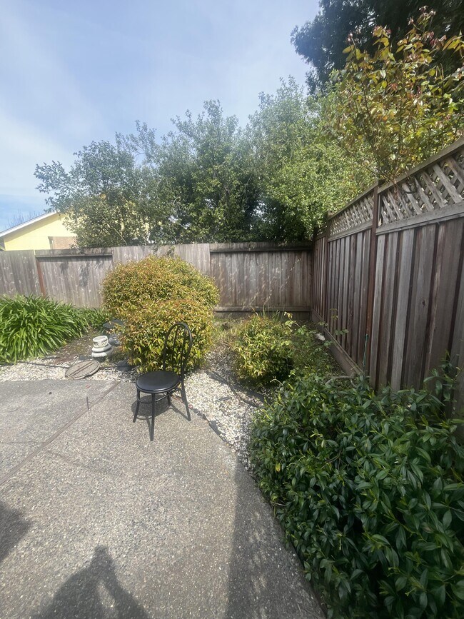 7852 Medallion Way in Rohnert Park, CA - Foto de edificio - Building Photo