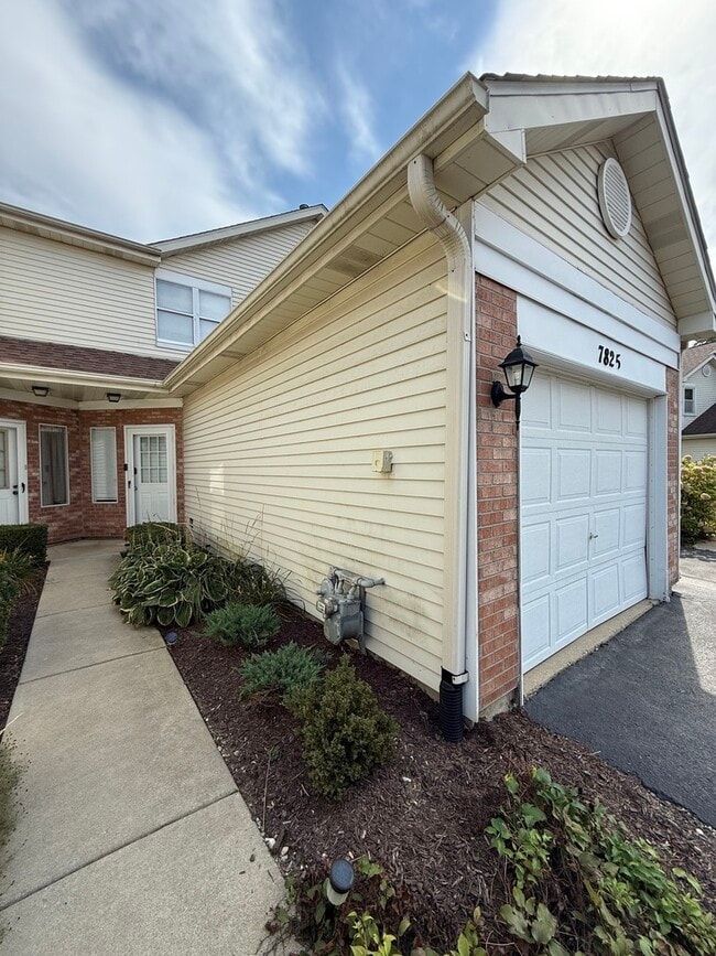 7825 Darien Lakes Dr in Darien, IL - Building Photo - Building Photo