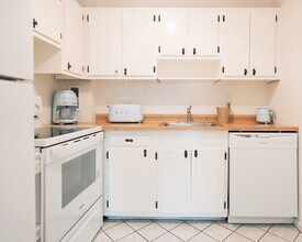 19 Winchester St in Brookline, MA - Building Photo - Building Photo