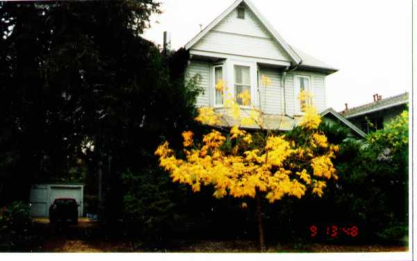 832 Kipling St in Palo Alto, CA - Foto de edificio