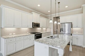 513 Mistflower Springs Dr in Leander, TX - Building Photo - Building Photo