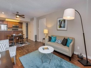 Olive East in Gilbert, AZ - Building Photo - Building Photo
