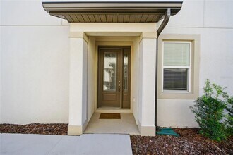 11405 Cay Spruce Wy in San Antonio, FL - Building Photo - Building Photo