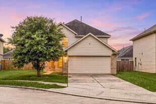 21415 Partha Way in Houston, TX - Building Photo