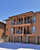 433 Salt Lick Cir in Silverthorne, CO - Building Photo