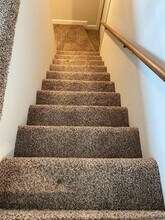 409 Lewis Ln in Pacifica, CA - Building Photo - Building Photo