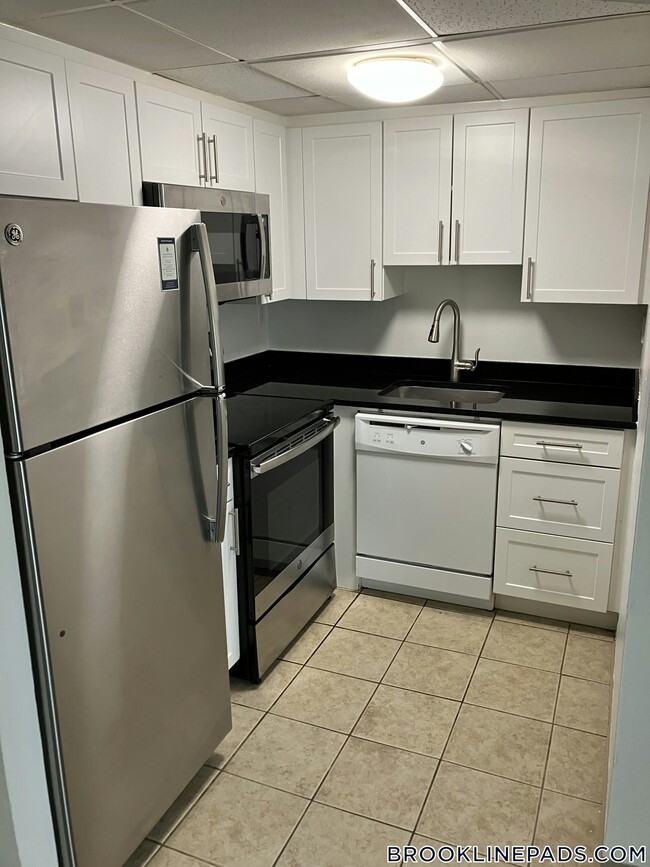 187 Kent St in Brookline, MA - Building Photo - Building Photo